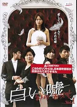 君が嘘をついた　DVD　全5巻セット　レンタルアップ　レンタル落ち Amazon.co.jp: ずっとあなたが好きだった 全5巻セット [レンタル